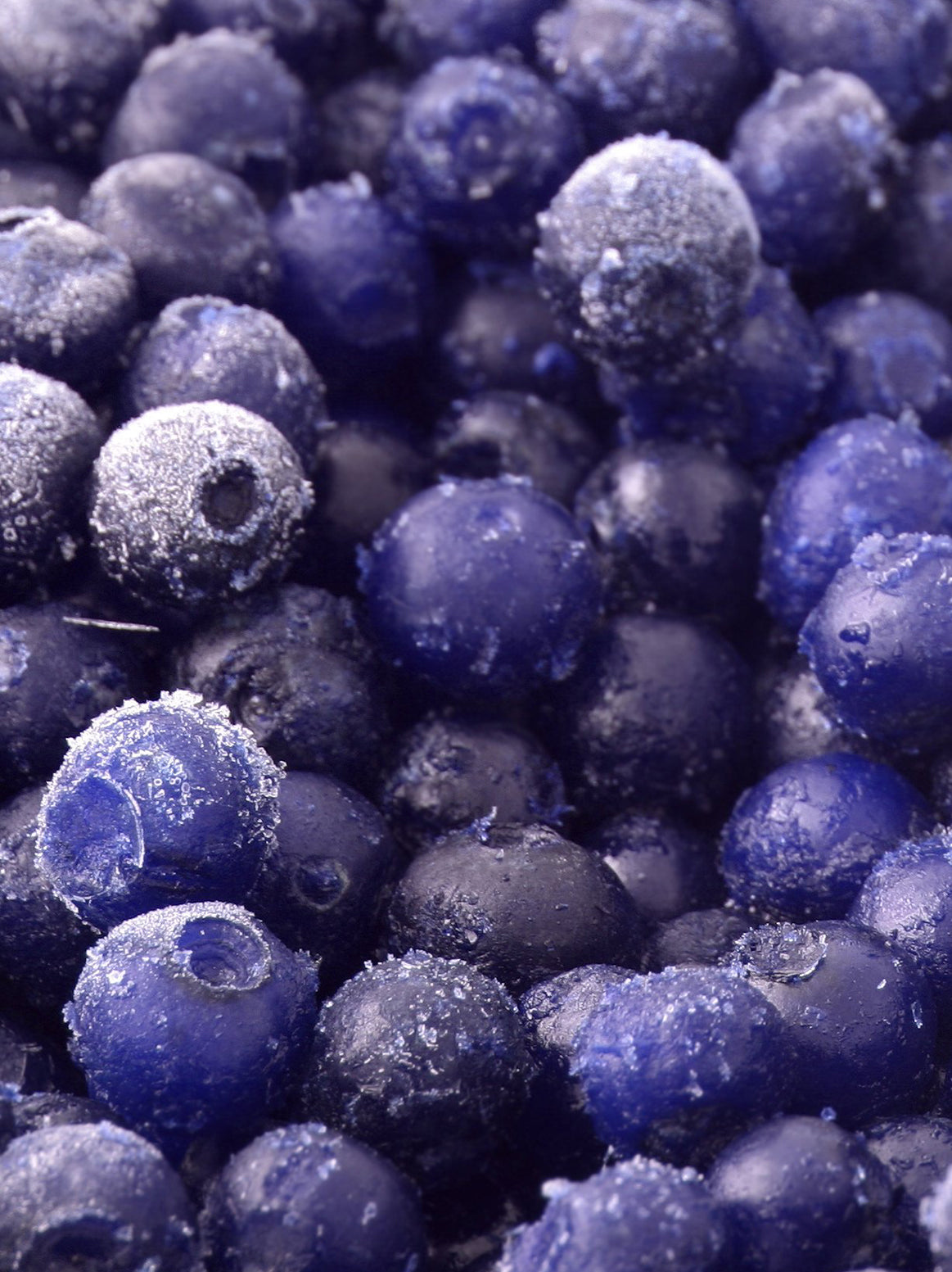 Blueberry - 5 lb.