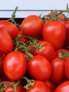 Tomato/Plum - 1 lbs