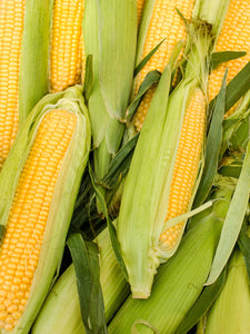 Corn On The Cob - 3 Pieces