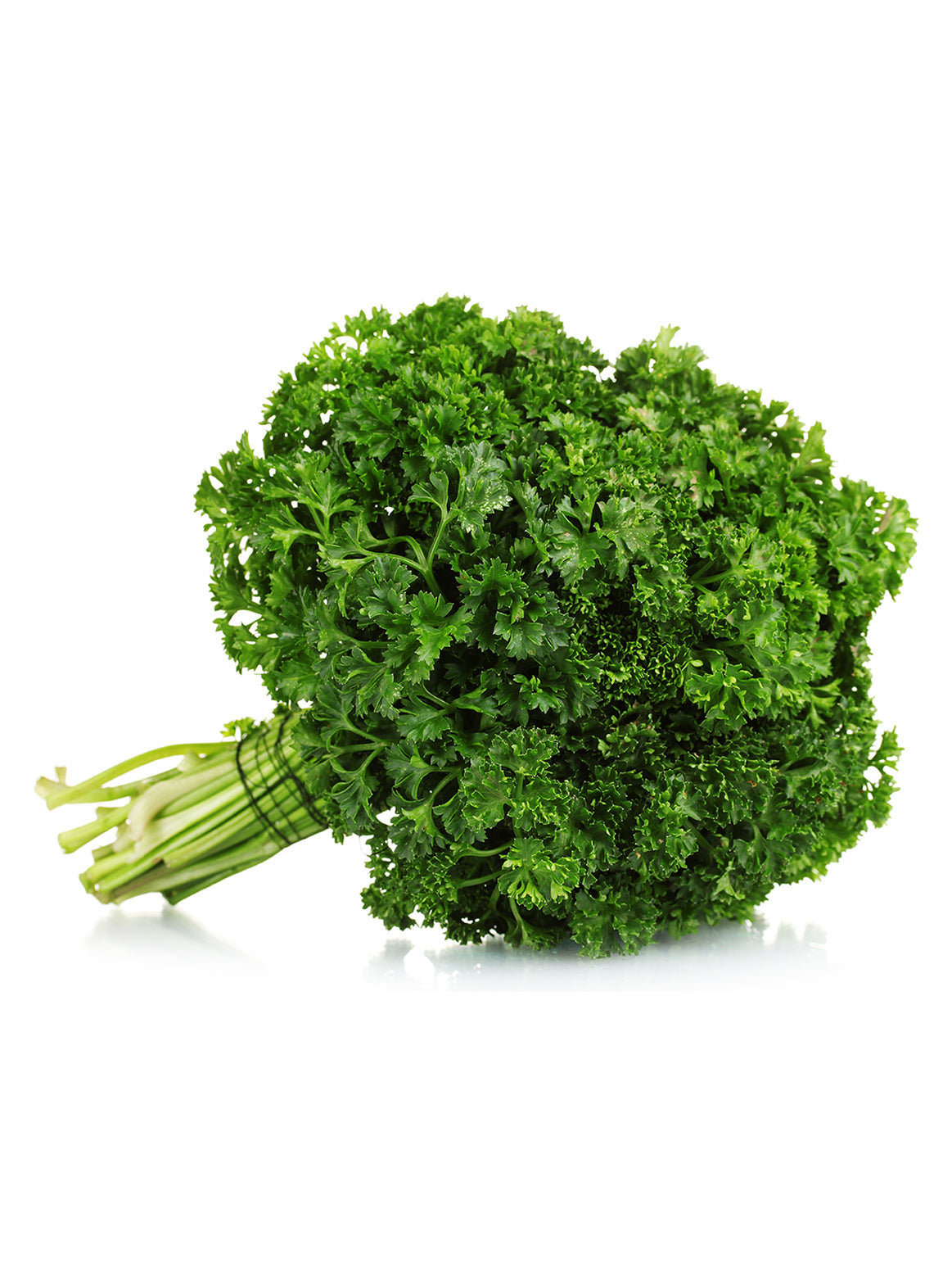 Parsley/Curly - Bunch