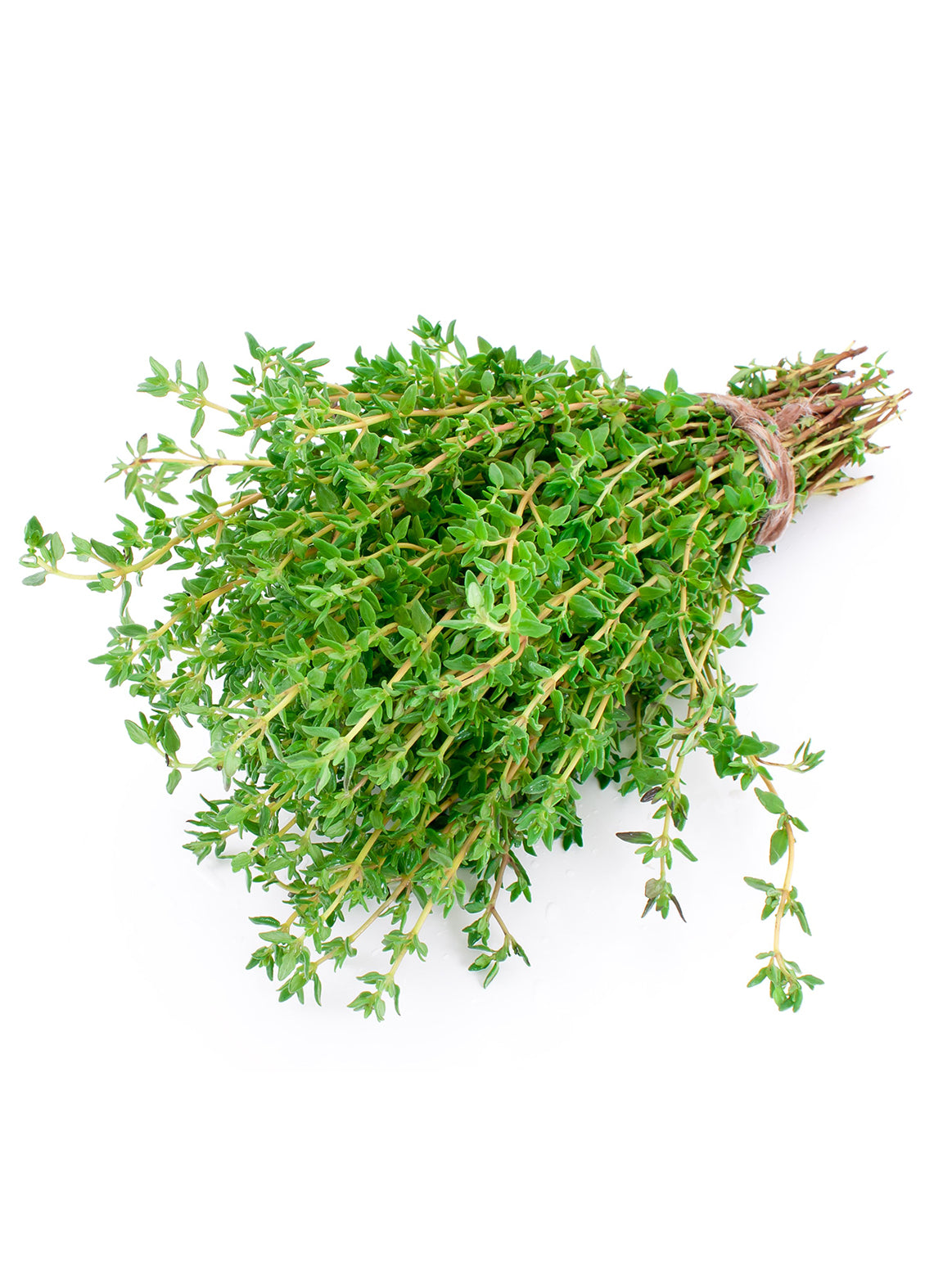 Thyme - Bunch