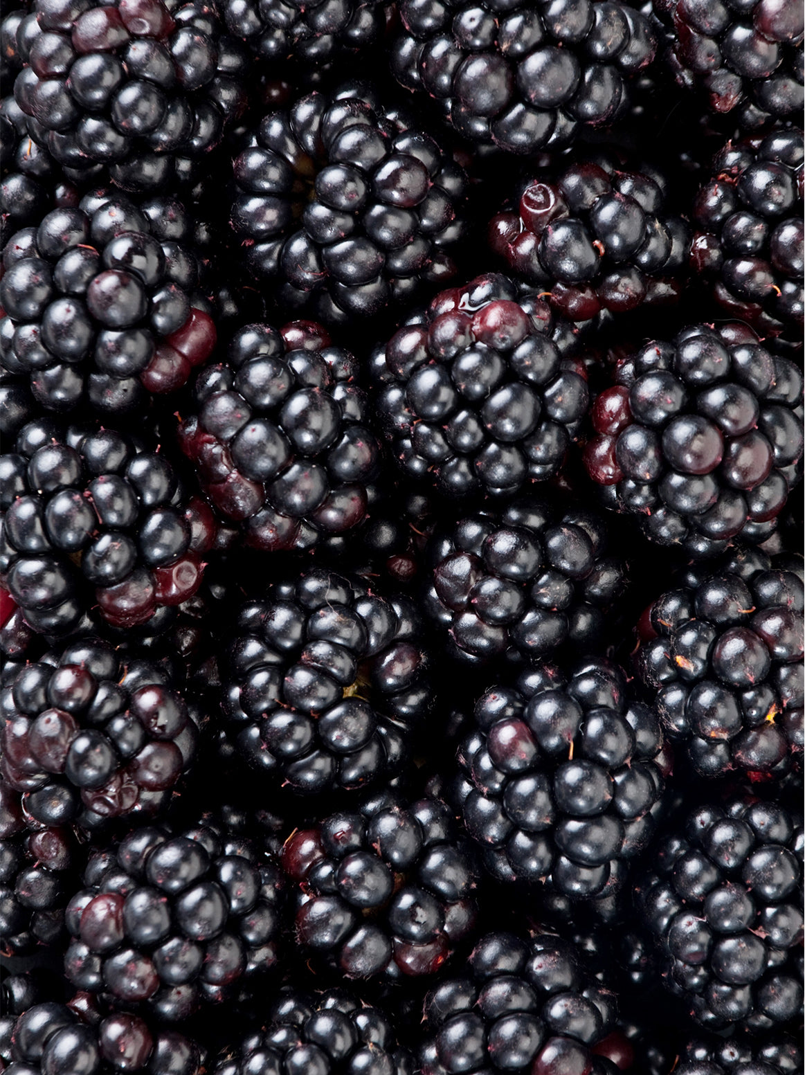 Blackberries - 1/2 pint