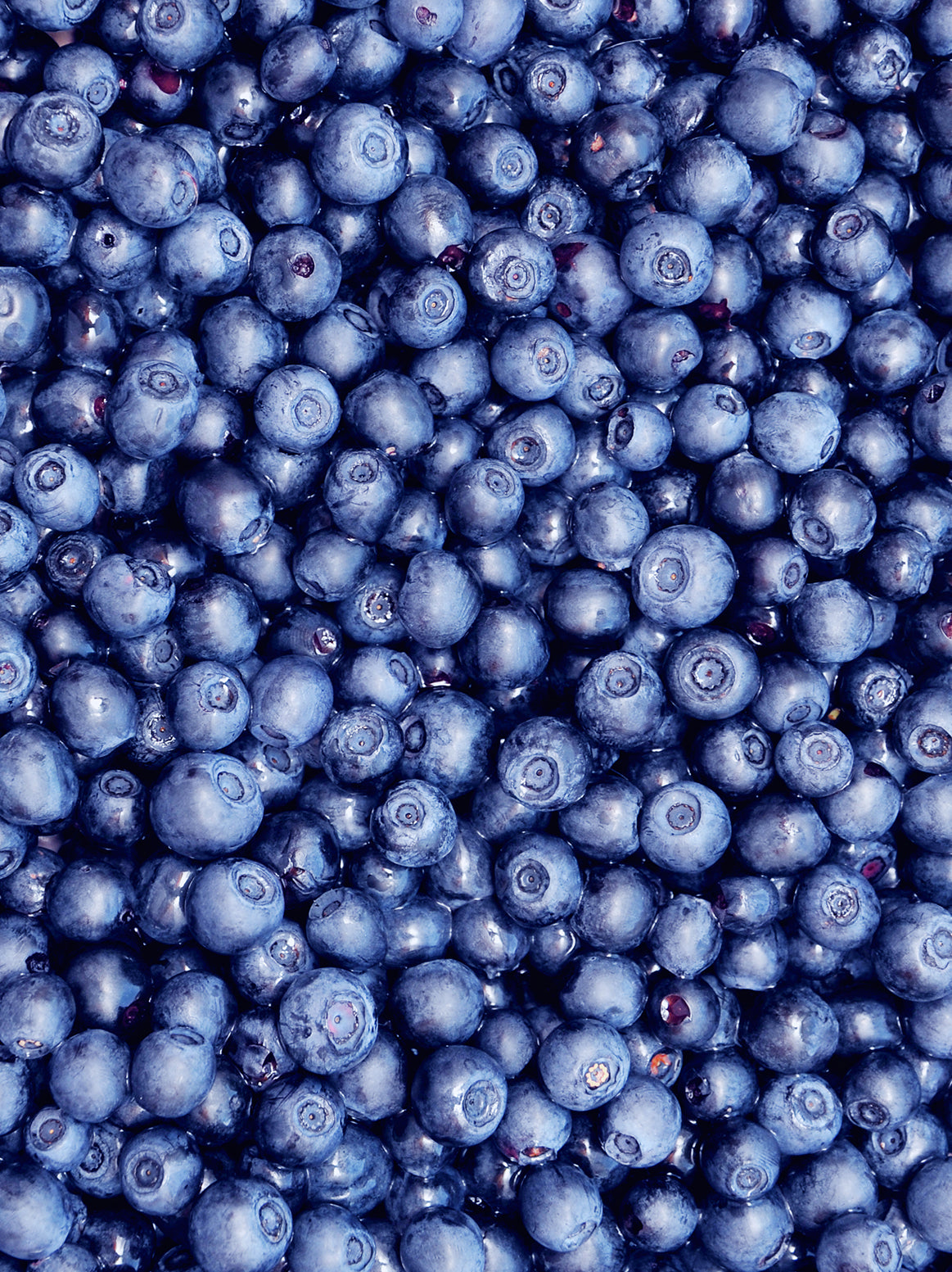 Blueberries - 1/2 pint