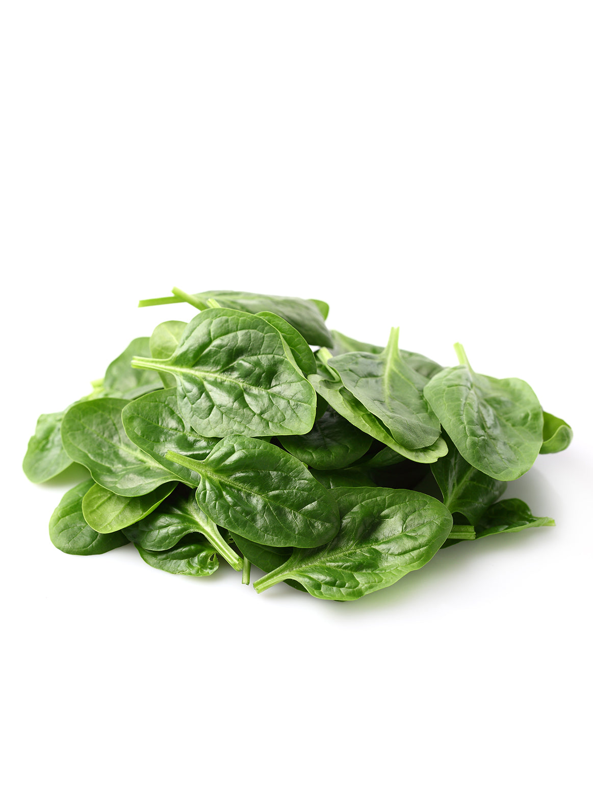 Spinach/Cello - 1 Package