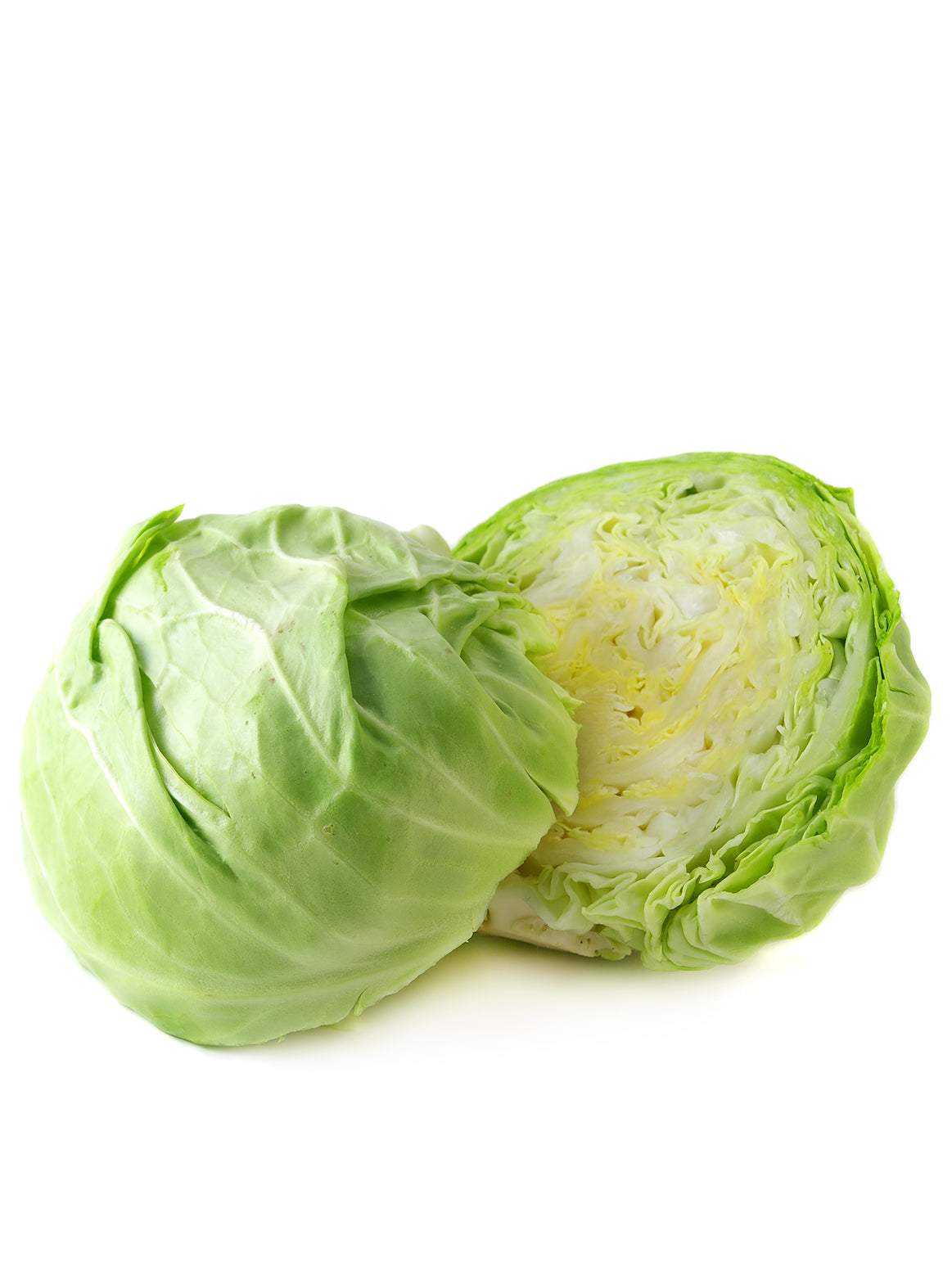 Cabbage Green - Head