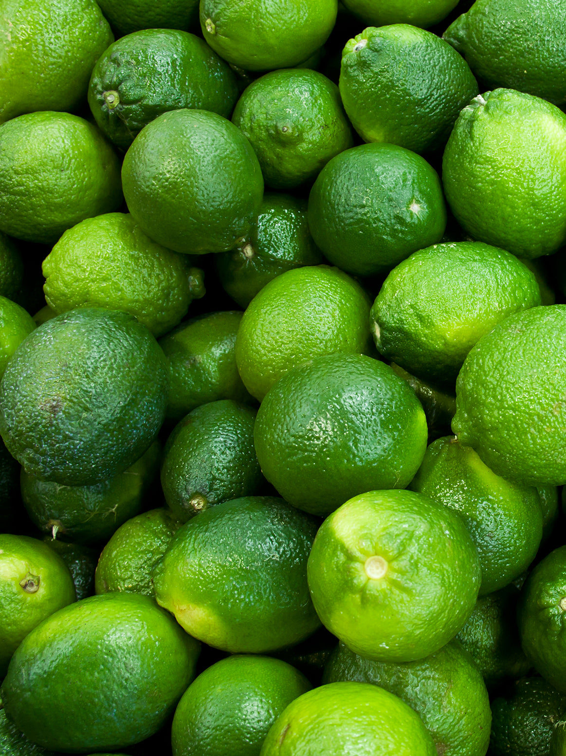 Limes - 3 Piece
