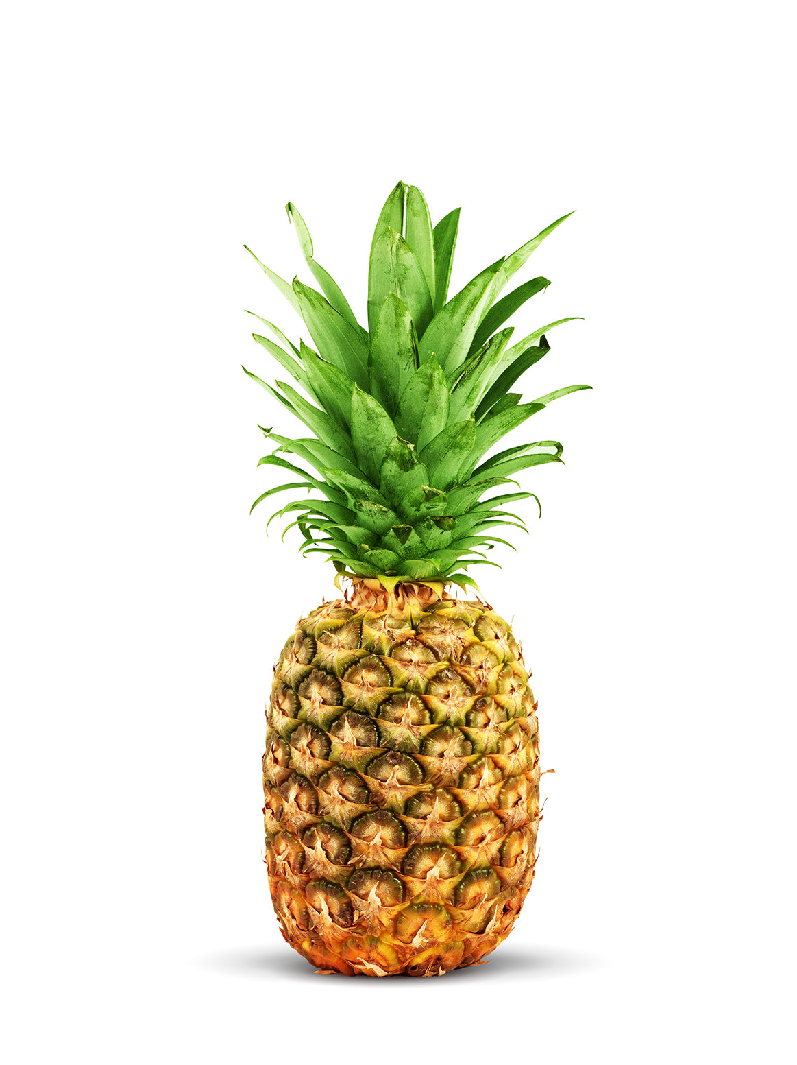 Organic Pineapples - each
