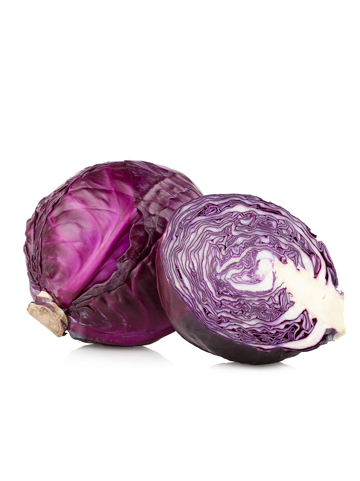 Cabbage Red - Head