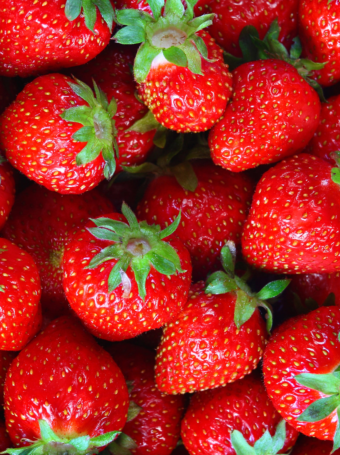 Strawberries - 1 pint